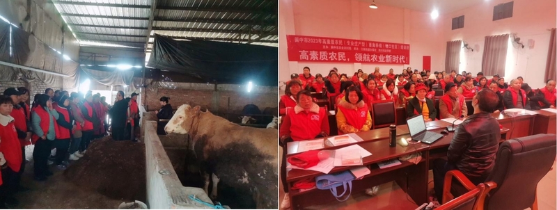 微信截图_20250420103113.png