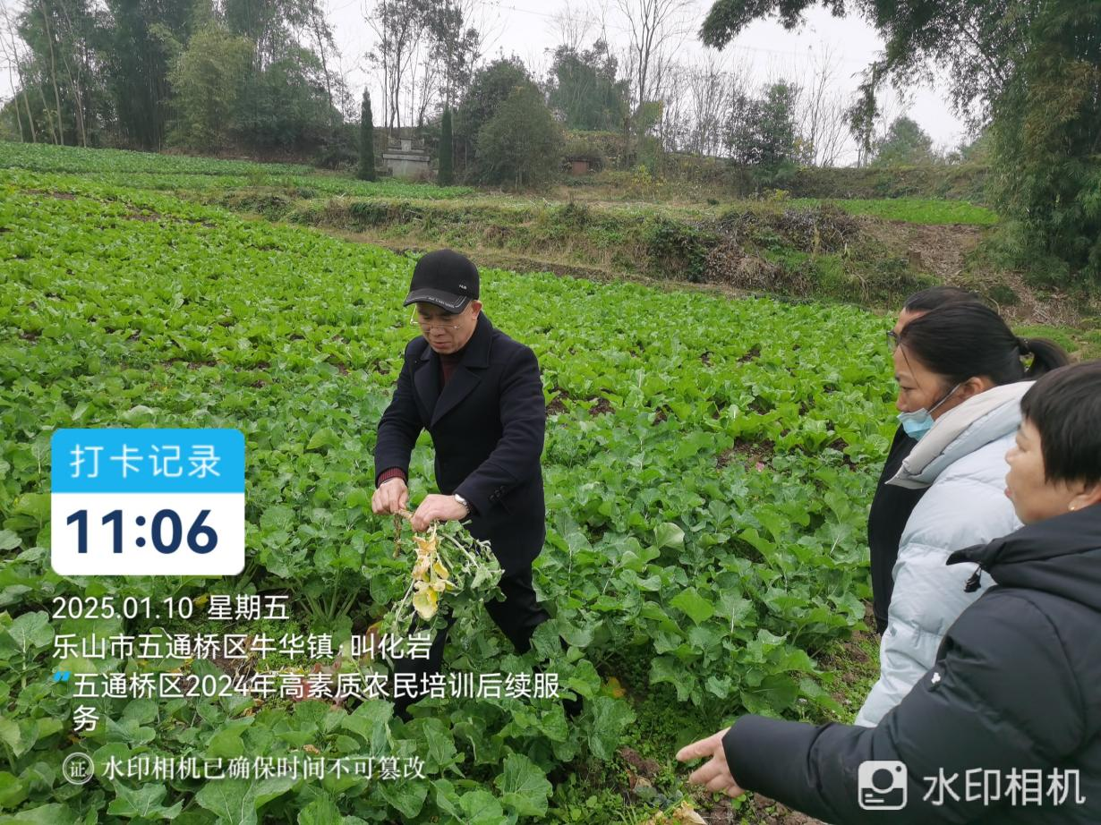 图片2(4).png